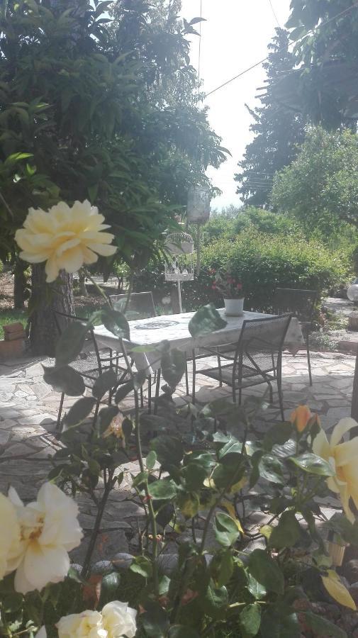 Вілла Panos And Chrisas House Drepano  Екстер'єр фото